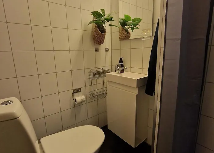 Cozy In Tromsdalen
