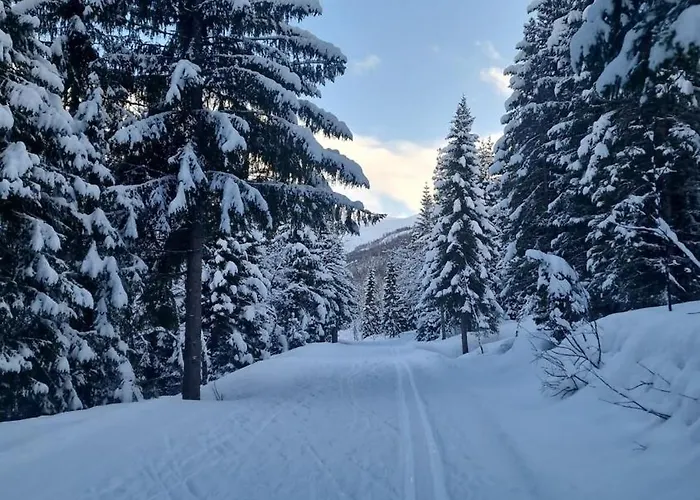 Cozy In Tromsdalen